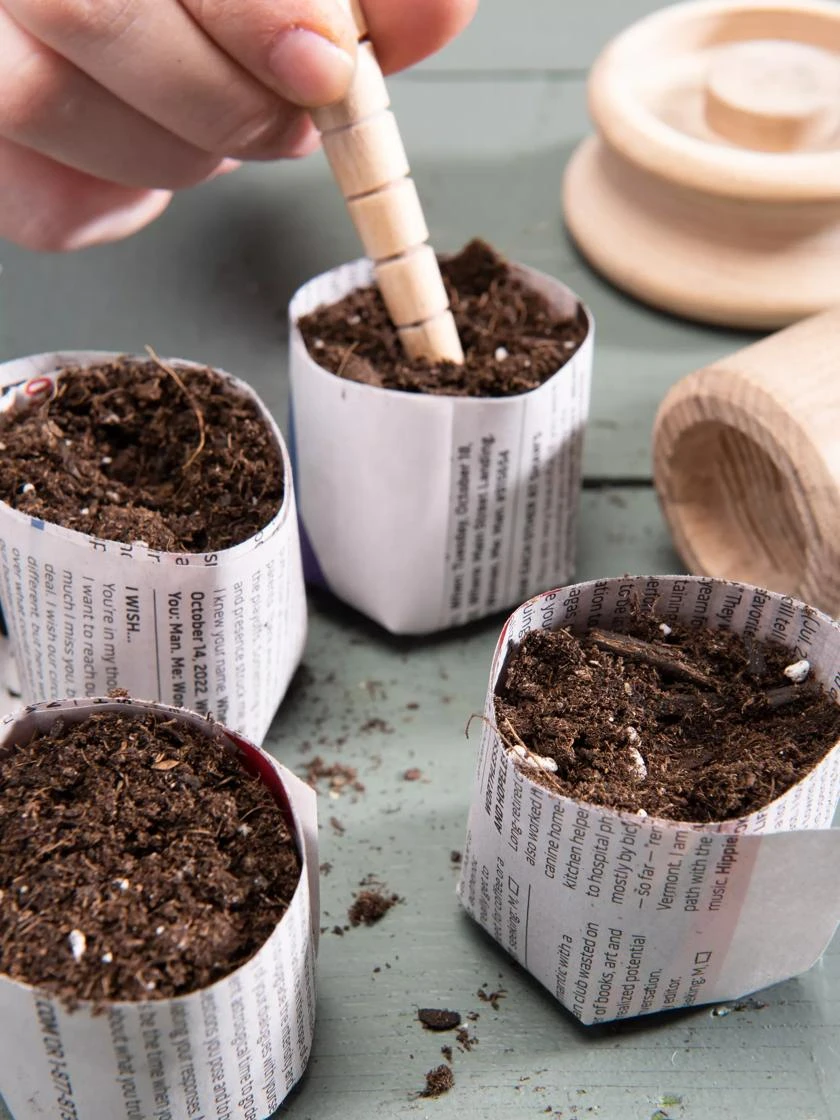 Organic Seed Starting Mix, 6 Quarts 3 Organic Seed Starting Mix, 6 Quarts - Image 2