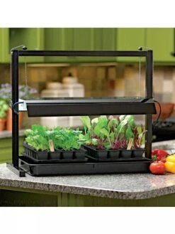 Compact Tabletop SunLite® Garden 10 Compact Tabletop SunLite® Garden -Gardener's Supply Company 37817 002ED 3 4