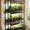3-Tier Sunlite® Garden -Gardener's Supply Company 39357 004 grow lights with three shelves large tif