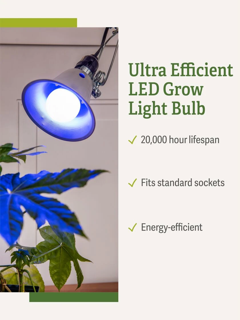 Miracle LED® Grow Light Bulb, Blue 5 Miracle LED® Grow Light Bulb, Blue - Image 3
