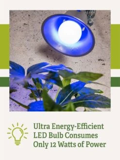 Miracle LED® Grow Light Bulb, Blue 11 Miracle LED® Grow Light Bulb, Blue -Gardener's Supply Company 3 4 crop Miracle Bulb Blue 2