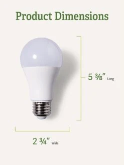 Front Page -Gardener's Supply Company 3 4 crop Miracle Bulb Blue