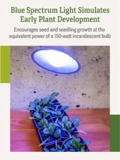 Miracle LED® Grow Light Bulb, Blue 12 Miracle LED® Grow Light Bulb, Blue -Gardener's Supply Company 3 4 crop Miracle Bulb Blue 3