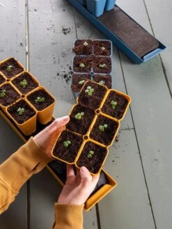 Gardener's Best® XL Seed Starting Kit -Gardener's Supply Company 40 135 6186