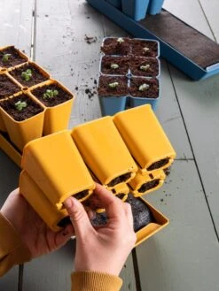 Gardener's Best® XL Seed Starting Kit -Gardener's Supply Company 40 135 6188