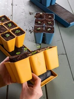 Gardener's Best® XL Seed Starting Kit -Gardener's Supply Company 40 135 6192 1