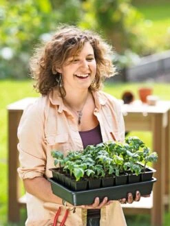 Growease Seed Starter Kit -Gardener's Supply Company 8589987 0446 tif