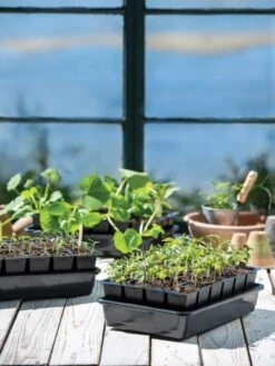 Growease Seed Starter Kit -Gardener's Supply Company 8589987 7871 tif