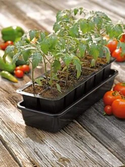 Growease Seed Starter Kit -Gardener's Supply Company 8589988 1056 tif