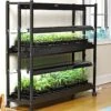 2-Tier SunLite® Garden