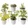 Low Light Terrarium Plant Collection, Set Of 6 1 Low Light Terrarium Plant Collection, Set Of 6 -Gardener's Supply Company 8591770 3595 tif