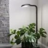 Agrobrite Floor Plant Lamp 2 Agrobrite Floor Plant Lamp -Gardener's Supply Company 8592053 0215 tif