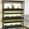 High Intensity 3-Tier SunLite® Garden -Gardener's Supply Company 8593944 1773 3 tier high intensity grow lights tif