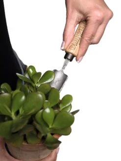 Gardener's Lifetime Mini Trowel 8 Gardener's Lifetime Mini Trowel -Gardener's Supply Company 8594146 0111 tif