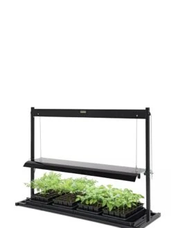 LED SunLite® Tabletop Garden -Gardener's Supply Company 8595552 10125 tif