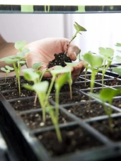 LED Stack-n-Grow Lights - Base Unit -Gardener's Supply Company 8595770 7373 tif