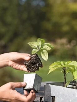 Galvanized Seed Starting Tray -Gardener's Supply Company 8595893 4378 tif