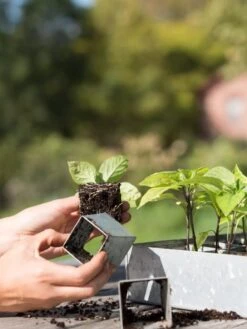 Galvanized Seed Starting Tray -Gardener's Supply Company 8595893 4382 tif