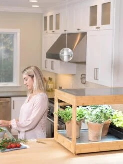 Low Bamboo LED Grow Light Garden -Gardener's Supply Company 8597720 0816 tif