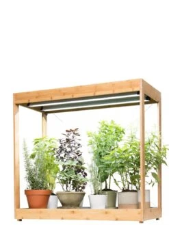 Medium Bamboo LED Grow Light Garden -Gardener's Supply Company 8597883 1011 tif
