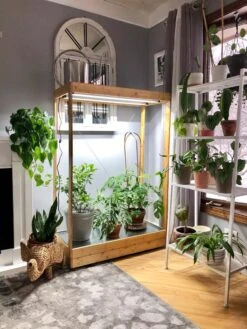 Tall Bamboo LED Grow Light Garden -Gardener's Supply Company 8597884 01IN tif