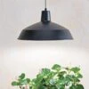Barnyard Pendant LED Grow Light 2 Barnyard Pendant LED Grow Light -Gardener's Supply Company 8598025 8139 tif