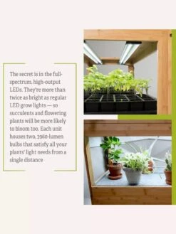 Bamboo LED Grow Light Garden For Succulents And Seeds -Gardener's Supply Company 8598084 7