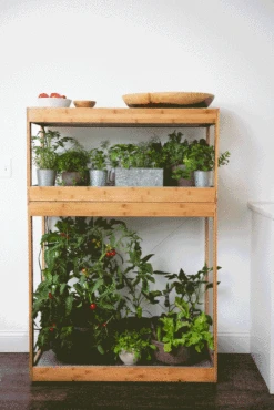 Bamboo Home LED Grow Light Garden -Gardener's Supply Company 8598088 BambooLEDHomeGarden light gif