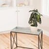 Plant Stand With Galvanized Tray -Gardener's Supply Company 8599022 14588 tif
