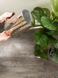 Stainless Steel Watering Can -Gardener's Supply Company 8599057 14322 tif