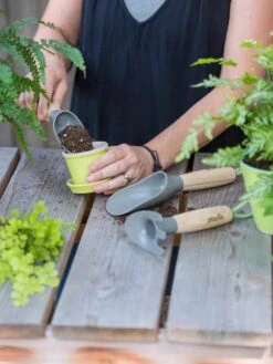 Front Page -Gardener's Supply Company 8599065 0121 tif