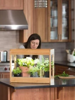 Bamboo Mini LED Grow Light Garden -Gardener's Supply Company 8599624 12532 tif