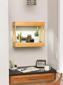 Bamboo Mini LED Grow Light Garden -Gardener's Supply Company 8599624 12872 tif