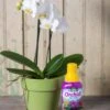 Espoma Orchid! Plant Food -Gardener's Supply Company 8599783 18431 tif