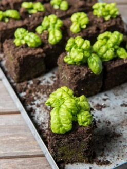 Soil Blocker, 4 Cell -Gardener's Supply Company 8599790 1057 tif