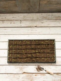 Paper Pots, 50 Cell 12 Paper Pots, 50 Cell -Gardener's Supply Company 8599830 18489 tif