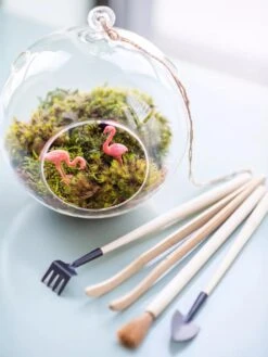 Terrarium Tools, Set Of 4 -Gardener's Supply Company 8599884 01V tif