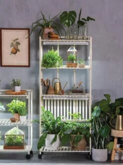 Oslo 4-Tier LED Grow Light Garden -Gardener's Supply Company 8609188 4118 tif