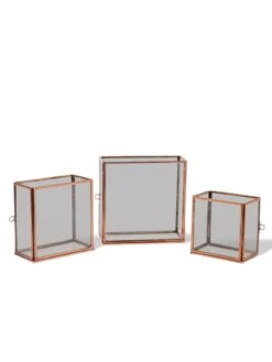 Copper And Glass Terrariums, Set Of 3 -Gardener's Supply Company 8609212 0851 tif