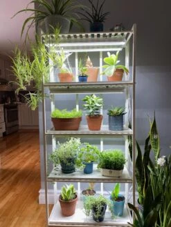 Oslo 4-Tier LED Grow Light Garden -Gardener's Supply Company 8609220 03IN tif