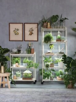 Oslo 2-Tier LED Grow Light Garden, 2 Fixtures -Gardener's Supply Company 8609220 4105 tif