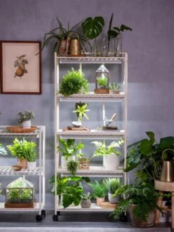 Oslo 4-Tier LED Grow Light Garden -Gardener's Supply Company 8609220 4116 tif