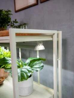 Oslo 2-Tier LED Grow Light Garden, 2 Fixtures -Gardener's Supply Company 8609221 4101 tif