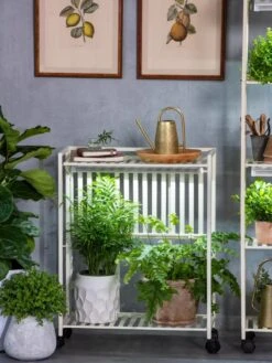 Oslo 2-Tier LED Grow Light Garden, 2 Fixtures -Gardener's Supply Company 8609221 7236 tif