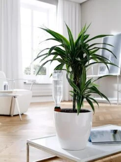 Hydro Wine Container Watering System, Set Of 4 -Gardener's Supply Company 8609224 02V tif