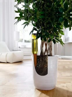 Hydro Wine Container Watering System, Set Of 4 -Gardener's Supply Company 8609224 04V tif