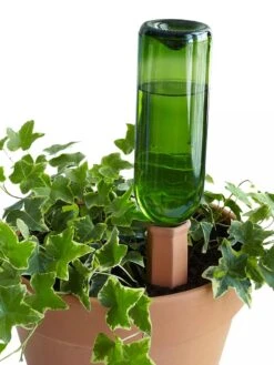 Hydro Wine Container Watering System, Set Of 4 -Gardener's Supply Company 8609224 09V tif
