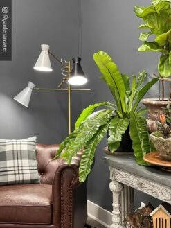 Adjustable 3-Arm Grow Lamp 15 Adjustable 3-Arm Grow Lamp -Gardener's Supply Company 8609868 01IN tif