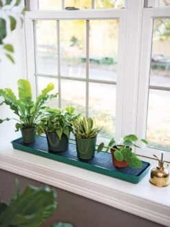 Self-Watering Windowsill Tray -Gardener's Supply Company 8609873 9011 tif