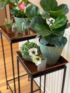 Square Nesting Plant Stands With Trays, Set Of 2 -Gardener's Supply Company 8611014 3651 tif